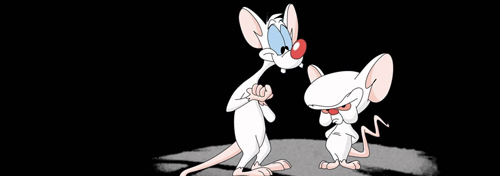 Imagem para Pinky and the Brain